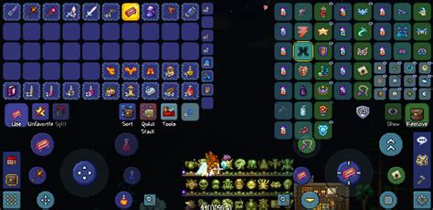 summoner accessories terraria.